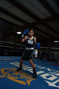 TITLE Boxing USA Boxing Competition Gloves - Elastic -TITLE Boxing Shop ACGESBL 1