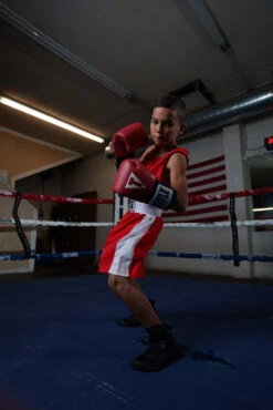 TITLE Boxing USA Boxing Competition Gloves - Elastic -TITLE Boxing Shop ACGESRD 3