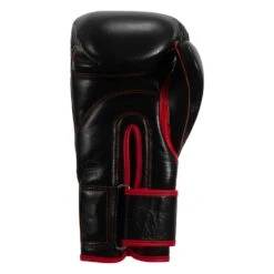 TITLE Boxing Throwback 1998 Anniversary Bag Glove -TITLE Boxing Shop AVTFBG BK RD 04