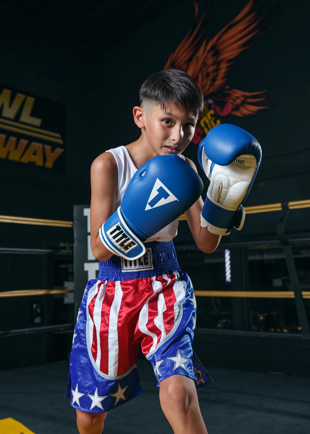 TITLE Boxing USA Trunks 4.0 2 TITLE Boxing USA Trunks 4.0 - Image 2