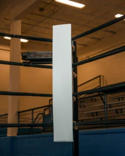 TITLE Boxing Blank Pro Corner Cushion V3.0 - Single -TITLE Boxing Shop CCPB3WH 1