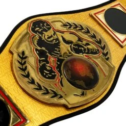 TITLE Boxing Championship Belt -TITLE Boxing Shop CLTB134 03