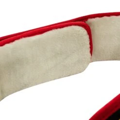 TITLE Boxing Triple Platinum Title Belt 13 TITLE Boxing Triple Platinum Title Belt -TITLE Boxing Shop CLTB203 BK 5