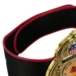 TITLE Boxing Old School Title Belt 12 TITLE Boxing Old School Title Belt -TITLE Boxing Shop CLTB207 4