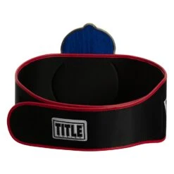 TITLE Boxing Old School Title Belt 14 TITLE Boxing Old School Title Belt -TITLE Boxing Shop CLTB207 5