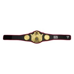 TITLE Boxing Triumphant Wings Of Victory Belt 14 TITLE Boxing Triumphant Wings Of Victory Belt -TITLE Boxing Shop CLTB212 BK 6