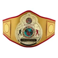 TITLE Boxing Gold Flash Title Belt 7 TITLE Boxing Gold Flash Title Belt -TITLE Boxing Shop CLTB215 GD 2