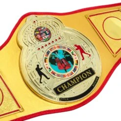 TITLE Boxing Gold Flash Title Belt 8 TITLE Boxing Gold Flash Title Belt -TITLE Boxing Shop CLTB215 GD 3