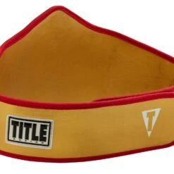 TITLE Boxing Gold Flash Title Belt 9 TITLE Boxing Gold Flash Title Belt -TITLE Boxing Shop CLTB215 GD 4