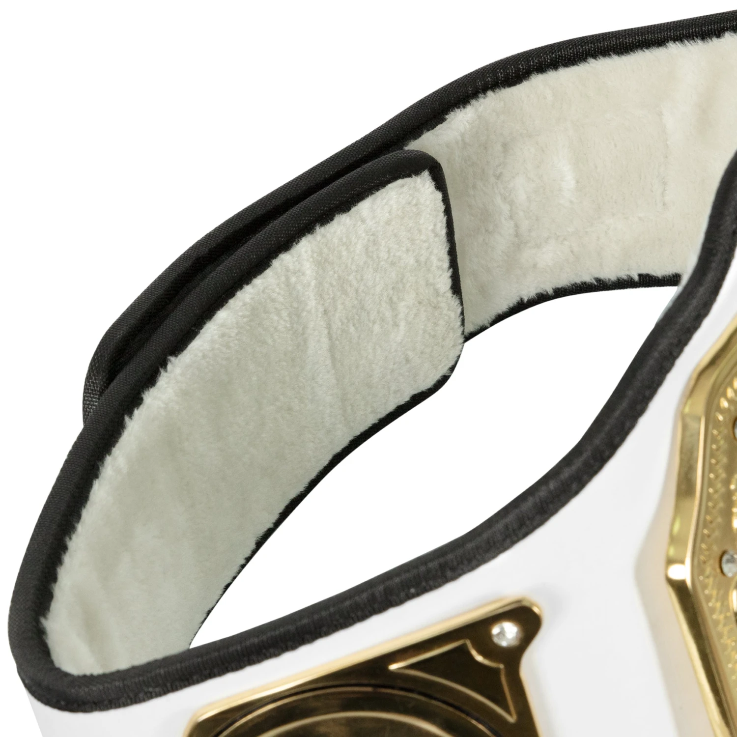 TITLE Boxing Crown Jewel Championship Belt 5 TITLE Boxing Crown Jewel Championship Belt - Image 5