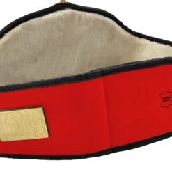 Title Boxing Torch Belt -TITLE Boxing Shop CLTB25 RD 4