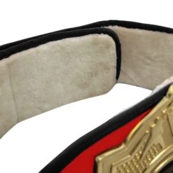 Title Boxing Torch Belt -TITLE Boxing Shop CLTB25 RD 5