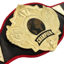 Title Boxing Torch Belt -TITLE Boxing Shop CLTB25 3