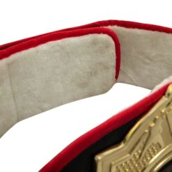 Title Boxing Torch Belt -TITLE Boxing Shop CLTB25 5