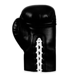 TITLE Boxing Legacy Autograph Gloves 2.0 -TITLE Boxing Shop EABG2 BK 3