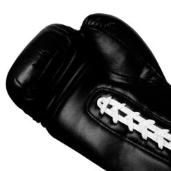 TITLE Boxing Legacy Autograph Gloves 2.0 -TITLE Boxing Shop EABG2 BK 4