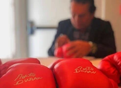 TITLE Boxing Legacy Autograph Gloves 2.0 -TITLE Boxing Shop EABG2RD1