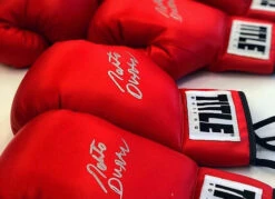 TITLE Boxing Legacy Autograph Gloves 2.0 -TITLE Boxing Shop EABG2RD2