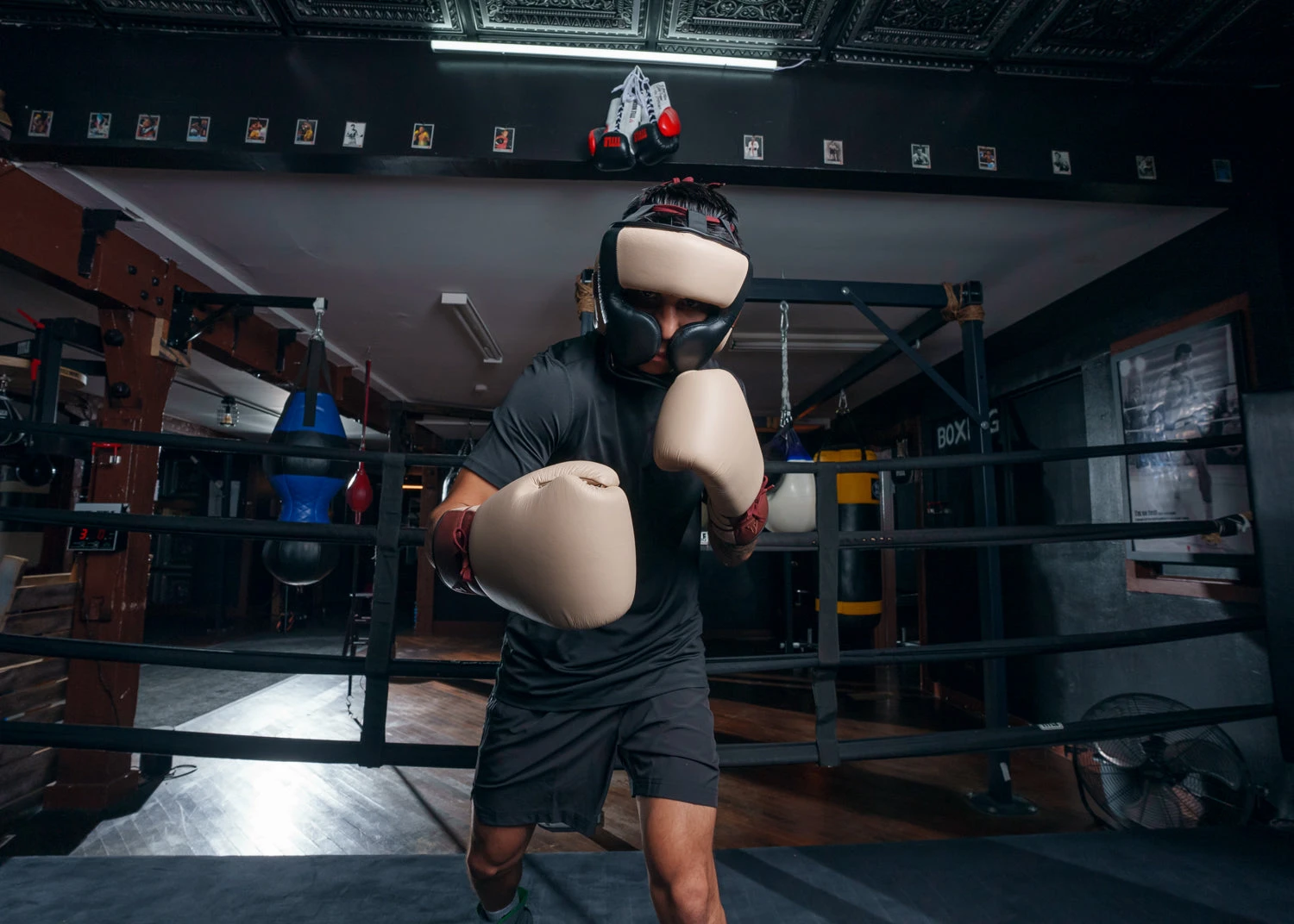 TITLE Boxing Honorary Sparring Head Gear 6 TITLE Boxing Honorary Sparring Head Gear - Image 6