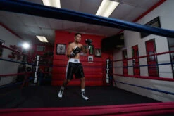 TITLE Boxing Great Official Pro Fight Boxing Gloves -TITLE Boxing Shop GRPFGBKWH 1