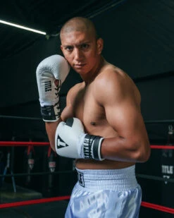 TITLE Boxing Great Official Pro Fight Boxing Gloves -TITLE Boxing Shop GRPFGWHBK 1