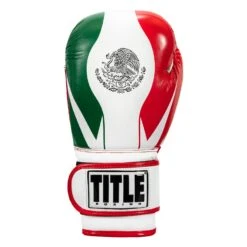 TITLE Boxing Infused Foam El Combate Mexico Training Gloves -TITLE Boxing Shop HIFXTG 3