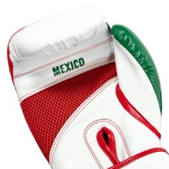 TITLE Boxing Infused Foam El Combate Mexico Training Gloves -TITLE Boxing Shop HIFXTG 5