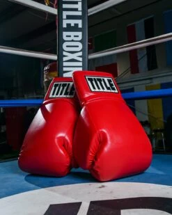 TITLE Boxing Jumbo Boxing Gloves 2.0 -TITLE Boxing Shop JBG2RD 3