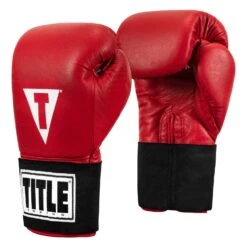 TITLE Boxing Masters USA Boxing Competition Gloves - Elastic -TITLE Boxing Shop MACGES RD 02