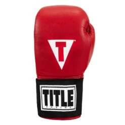TITLE Boxing Masters USA Boxing Competition Gloves - Elastic -TITLE Boxing Shop MACGES RD 03