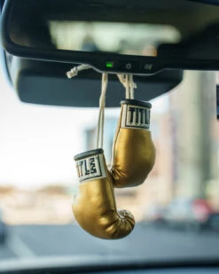 TITLE Boxing 3.5” Mini Boxing Gloves 31 TITLE Boxing 3.5” Mini Boxing Gloves -TITLE Boxing Shop MBGGD 1