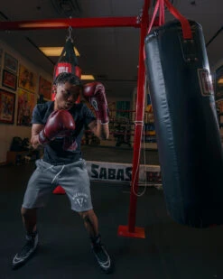 TITLE Boxing Old School Leather Bag Gloves 2.0 -TITLE Boxing Shop OSLBG2MR 3 3