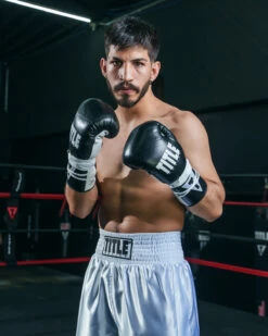 TITLE Boxing Leather Pro Fight Boxing Gloves 20 TITLE Boxing Leather Pro Fight Boxing Gloves -TITLE Boxing Shop PFPG Sample 1