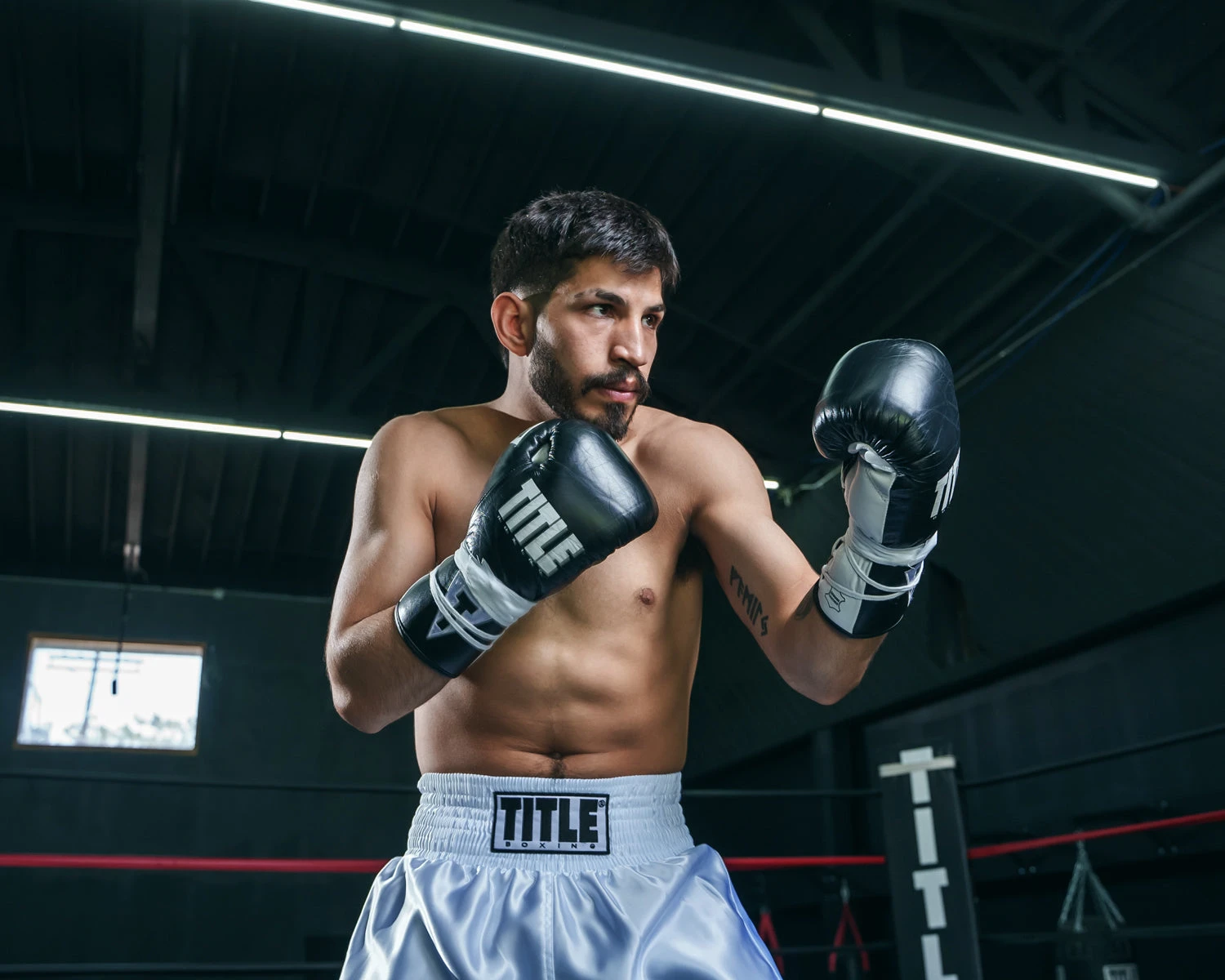 TITLE Boxing Leather Pro Fight Boxing Gloves 2 TITLE Boxing Leather Pro Fight Boxing Gloves - Image 2