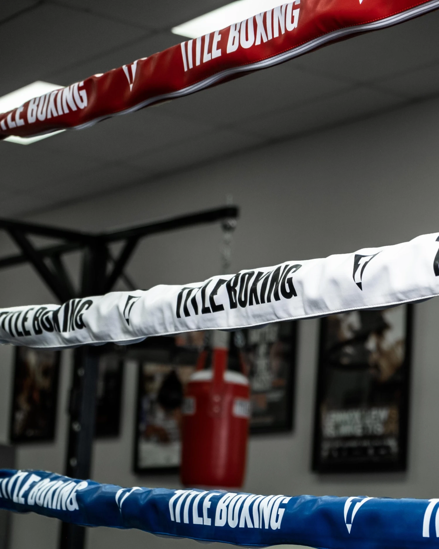 TITLE Boxing Professional Vinyl Zippered Rope Covers 10 TITLE Boxing Professional Vinyl Zippered Rope Covers - Image 10