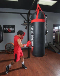 TITLE Boxing Titanic Flex-Strike Heavy Bag -TITLE Boxing Shop STRK3
