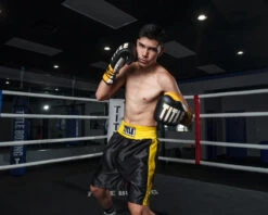 TITLE Boxing Edge Boxing Trunks 2.0 -TITLE Boxing Shop TBTC2BKGD2