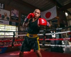 TITLE Boxing Edge Boxing Trunks 24 TITLE Boxing Edge Boxing Trunks -TITLE Boxing Shop TBTC2BKGD 2 3bfa2e68 ab0b 4f13 acb6 4f1710e57898