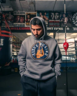 TITLE Boxing Signal Hoodie -TITLE Boxing Shop THD31GR 2