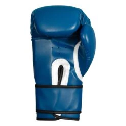 TITLE Boxing Peak Bag Boxing Gloves -TITLE Boxing Shop TITLE Boxing Peak Bag Gloves back view BSABG blue