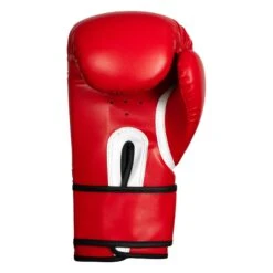 TITLE Boxing Peak Bag Boxing Gloves -TITLE Boxing Shop TITLE Boxing Peak Bag Gloves back view BSABG red
