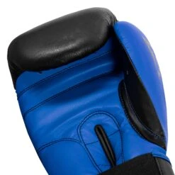 TITLE Boxing Dynamic Strike Heavy Bag Gloves -TITLE Boxing Shop XDBG BK BL 005
