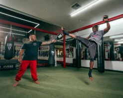 TITLE Boxing Duo Target Training Paddle -TITLE Boxing Shop dttp 2 2