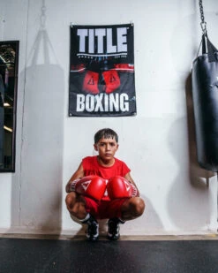 TITLE Boxing Pro Fight Banner -TITLE Boxing Shop gb9 1 1