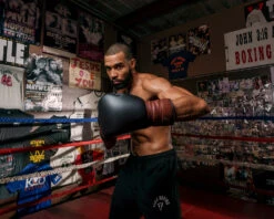 TITLE Boxing Honorary Sparring Gloves 23 TITLE Boxing Honorary Sparring Gloves -TITLE Boxing Shop gossg bk bnl 3 1 1