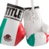 TITLE Boxing 3.5” Mini Boxing Gloves