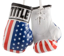 TITLE Boxing 3.5” Mini Boxing Gloves 36 TITLE Boxing 3.5” Mini Boxing Gloves -TITLE Boxing Shop mbg usa 1