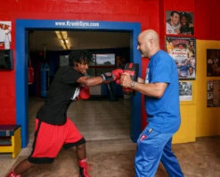 TITLE Boxing Memory Foam Punch Shield -TITLE Boxing Shop mfmps 03 1