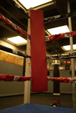 TITLE Boxing Blank Pro Corner Cushion V3.0 - Single -TITLE Boxing Shop osccb blank red 3