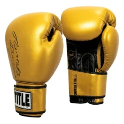 TITLE Boxing Roberto Duran Leather Training Gloves -TITLE Boxing Shop rdtg gd bk 02